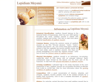 Tablet Screenshot of lepidiummeyenii.com